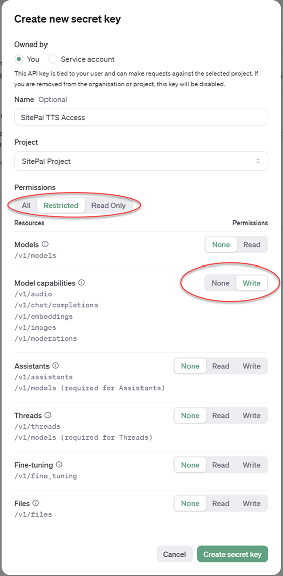 OpenAI Permissions