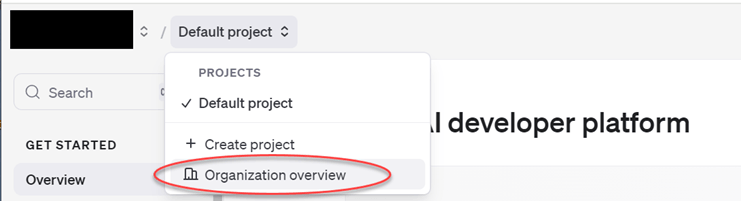 OpenAI Project
